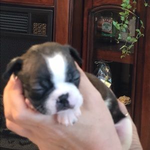 Meet your Posher, Vicky